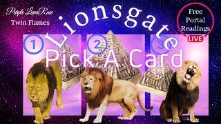 Lionsgate Portal 2024 | Pick-A-Card | Live w/Rosa's Tribe!