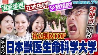 【私立獣医の頂点】日本獣医生命科学大学の魅力に迫る！【wakatte TV】#1085