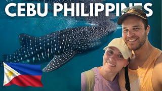 Swimming with WHALE SHARKS in Oslob, Cebu Philippines 2024