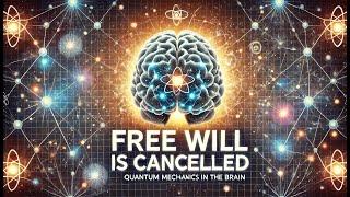 Is Your Brain a Quantum Computer? Maybe.