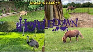 Animals In Hobbledown Adventure Farm Park and Zoo Epsom England 󠁧󠁢󠁥󠁮󠁧󠁿