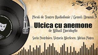 Ulcica cu anemone - Mihail Davidoglu | Teatru pe Vinil