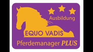 Selbst Pferdeexperte werden  |  Ausbildung von EQUO VADIS | Karin Kattwinkel