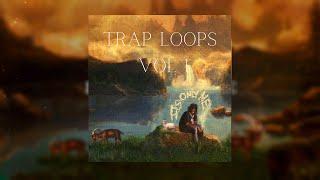 [FREE] 2023 Lil Baby Loop Kit / Sample Pack "Trap Hits Vol 1." (Lil Baby, Moneybagg Yo, Lil Durk)