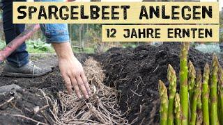 Spargel im eigenen Gemüsegarten anbauen. Neues Spargelbeet anlegen, Gemüse für Selbstversorger