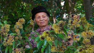 Grandma uses thorny ingredients to make Chinese cakes