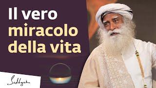 Il vero miracolo della vita | Sadhguru Italiano