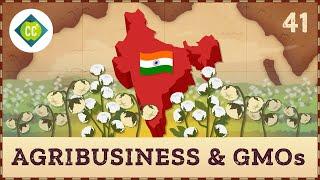 Agribusiness, GMOs, and their Role in Development: Crash Course Geography #41