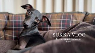 MY MORNING ROUTINE - Sukka The Italian Greyhound