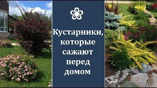  Кустарники, которые сажают перед домом