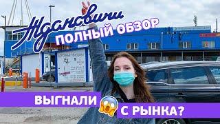 Выгнали с рынка?  Полный обзор Ждановичей