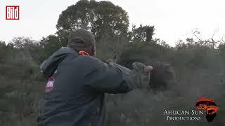 Safari endet mit Drama - Büffel greift Jäger an.