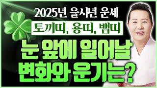 2025년 을사년 토끼띠 용띠 뱀띠 운세 대운의 문이 활짝 열렸다! 남몰래 흘렸던 눈물 보상받는 대박이 기다린다! 띠별운세 총정리 2탄