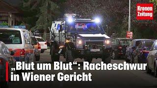 Nach Schussattentat: Racheschwur in Wiener Gericht | krone.tv NEWS