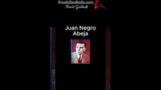 Juan Negro - Abeja #poesia #poesiarecitada