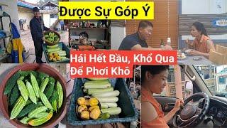 781# Được Sự Góp Ý, Hái Hết Bầu Và Khổ Qua Để Phơi Khô,Để Mùa Đông Ăn