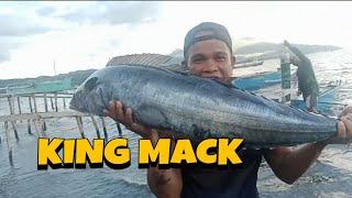 Buhay Fish Vendor "Tanigue" | #WackyTV