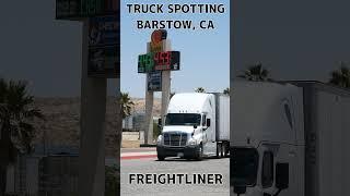 TRUCK SPOTTING #01488 / FREIGHTLINER #automobile #semitrailer #trucking