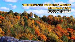 Lithuania in Autumn 2024 (Vilnius) - Discovering Beautiful Autumn Colours