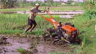 2 Joki Traktor Sawah Quick G1000 Dengan Mesin Yanmar Saling Bergantian Bekerja