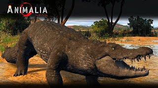 Animalia Survival Crocodile life!!