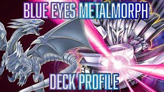 YUGIOH Blue Eyes White Dragon Metalmorph SUPER BUDGET Deck Profile