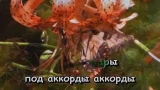в краю магнолий на флешку