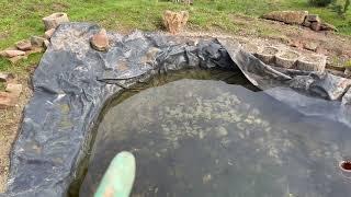 Lining the Pond  and Natural Stone Border