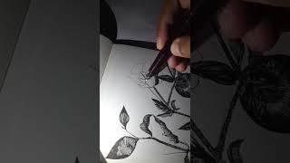 Midnight  drawing | inking with Vsign Beena Antic fountain pen  @livinedart