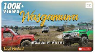 Wasgamuwa National Park  Wild Safari | වස්ගමුව | Travel Weekend | Adventure | Elephants