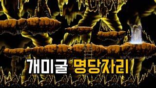 개미굴 가기 전 알아야 할 것들 (파티, 자리 위치) [메이플랜드]