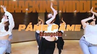 Evangelia - Páme Páme / RITA WAACKING CLASS 청주댄스학원 브랜드뉴댄스