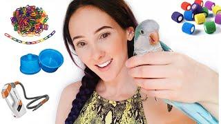 10 Things I Wish I Had As A Beginner Parrot Owner