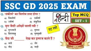 SSC GD Hindi Practice Set 2025 | SSC gd Hindi class 2025 | Ssc gd 2025 hindi gk | By Gk Track