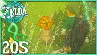 ZELDA TEARS OF THE KINGDOM 205️ Die HÄNDE des BÖSEN | Pupunke-Schrein [2024]