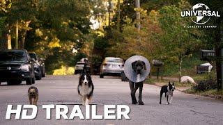 Doggy Style - officiële trailer