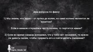 Вопрос №73. Два вопроса по фикху: 'аурат / омовение. Давуд Аш-Шинкыти