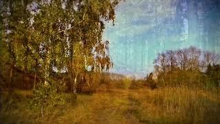 Russian Ethnic music on Gusli Primordial Rus 432 Hz ◈ Beautiful music for the soul 432 Hz