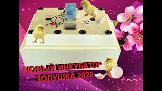 Инкубатор Золушка 2020 на 70 яиц