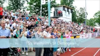 Der Teckbotenpokal 2014 in Weilheim/Teck