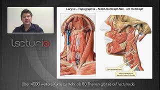 Anatomie lernen: Larynx und Halsregionen | Dr. med. Steffen-Boris Wirth bei Lecturio