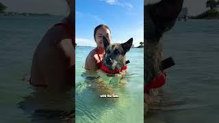 Top 10 Activities We Tried in 2024 in South Florida