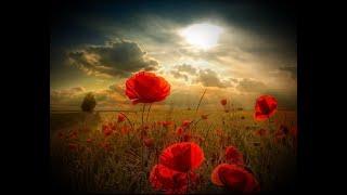 PASSCHENDAELE - THE ZOGGS with Michael Corri