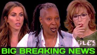 IT'S A CIRCUS! Fans of The View implore the ABC network to "cancel the show immediately" calling hos
