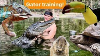 Gator training and sanctuary vlog!!