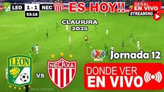 León vs. Necaxa en vivo, donde ver, a que hora juega León vs Necaxa Clausura 2025 Liga MX jornada 12