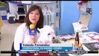 PET SPA MADRID EN TELEVISA NOTICIAS EL 4 DE FEBRERO DE 2015