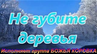 Божья коровка   Деревья