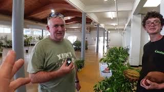 Rare Tropical Fruit Tree Plant Sale in South Florida. See what they have