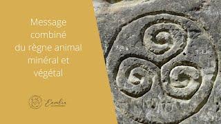  Message combiné du règne animal, végétal et minéral 